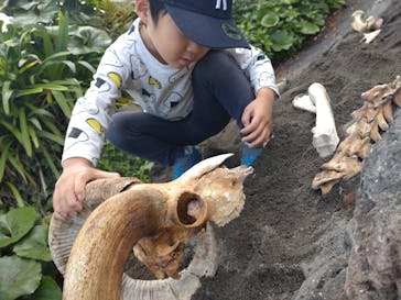 伊豆アニマルキングダムに投稿された画像（2023/5/17）