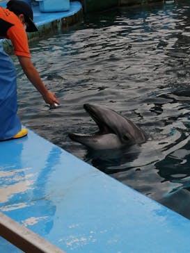 名古屋港水族館に投稿された画像（2023/5/17）