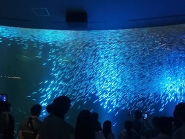 名古屋港水族館に投稿された画像（2023/5/17）