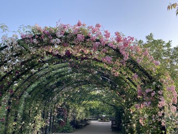 横浜イングリッシュガーデンに投稿された画像（2023/5/17）