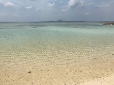 沖縄美ら海水族館に投稿された画像（2023/5/17）