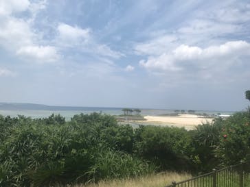 沖縄美ら海水族館に投稿された画像（2023/5/17）