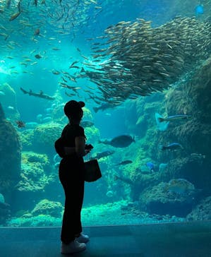 新江ノ島水族館に投稿された画像（2023/5/17）