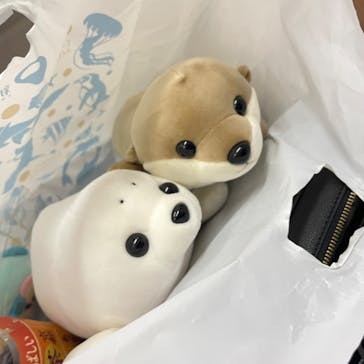 新江ノ島水族館に投稿された画像（2023/5/17）