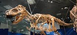 特別展「恐竜博2023」に投稿された画像（2023/5/18）