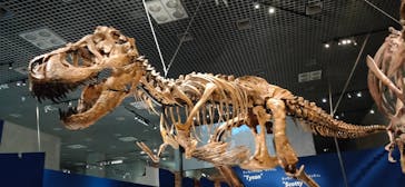 特別展「恐竜博2023」に投稿された画像（2023/5/17）
