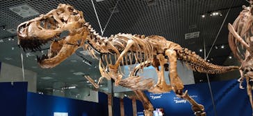 特別展「恐竜博2023」に投稿された画像（2023/5/17）