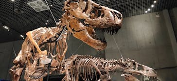 特別展「恐竜博2023」に投稿された画像（2023/5/17）