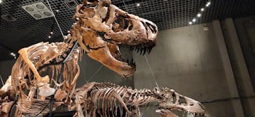 特別展「恐竜博2023」に投稿された画像（2023/5/17）