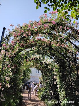 横浜イングリッシュガーデンに投稿された画像（2023/5/17）