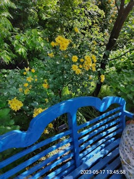 横浜イングリッシュガーデンに投稿された画像（2023/5/17）