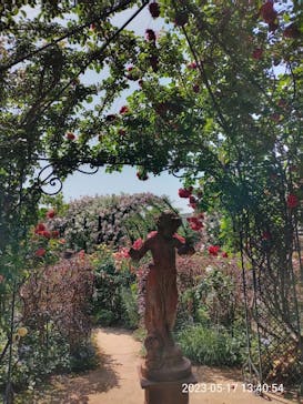 横浜イングリッシュガーデンに投稿された画像（2023/5/17）