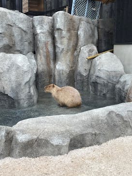 沖縄こどもの国に投稿された画像（2023/5/17）