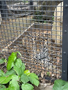 沖縄こどもの国に投稿された画像（2023/5/17）