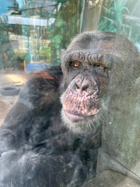 伊豆シャボテン動物公園に投稿された画像（2023/5/17）