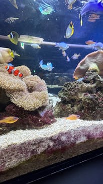 京都水族館に投稿された画像（2023/5/18）