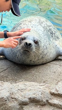 京都水族館に投稿された画像（2023/5/18）