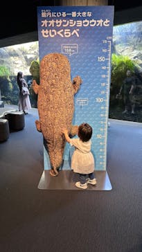 京都水族館に投稿された画像（2023/5/18）