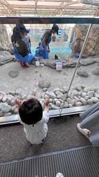 京都水族館に投稿された画像（2023/5/18）