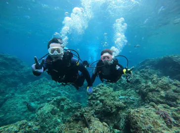 武藤潜水に投稿された画像（2023/5/18）