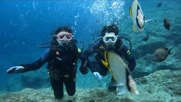 武藤潜水に投稿された画像（2023/5/18）