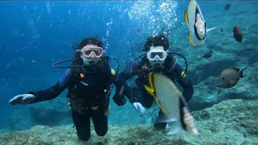 武藤潜水に投稿された画像（2023/5/18）