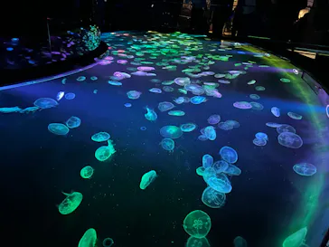 すみだ水族館に投稿された画像（2023/5/18）