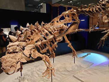 特別展「恐竜博2023」に投稿された画像（2023/5/18）