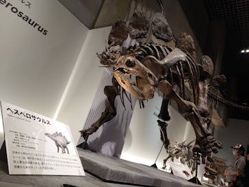 特別展「恐竜博2023」に投稿された画像（2023/5/18）