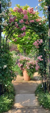 横浜イングリッシュガーデンに投稿された画像（2023/5/18）