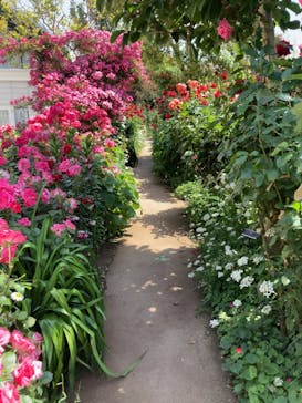 横浜イングリッシュガーデンに投稿された画像（2023/5/18）