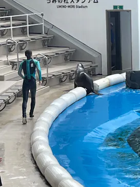 仙台うみの杜水族館に投稿された画像（2023/5/18）