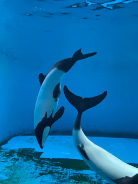 仙台うみの杜水族館に投稿された画像（2023/5/18）