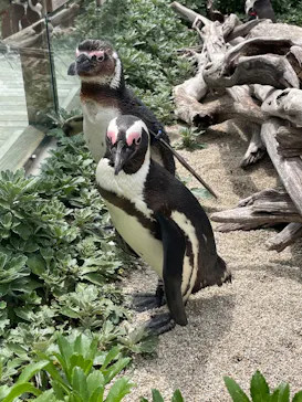 仙台うみの杜水族館に投稿された画像（2023/5/18）