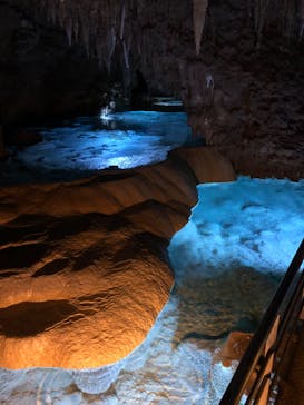 おきなわワールドに投稿された画像（2023/5/18）