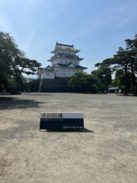 小田原城に投稿された画像（2023/5/18）