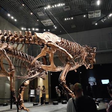 特別展「恐竜博2023」に投稿された画像（2023/5/18）