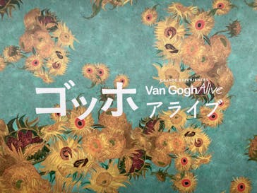 ゴッホ・アライブ神戸に投稿された画像（2023/5/18）