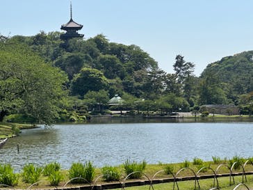 三溪園に投稿された画像（2023/5/18）