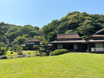 三溪園に投稿された画像（2023/5/18）