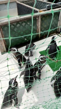 株式会社Gに投稿された画像（2023/5/18）