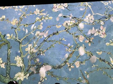 ゴッホ・アライブ神戸に投稿された画像（2023/5/18）