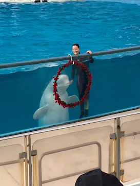 横浜・八景島シーパラダイスに投稿された画像（2023/5/18）