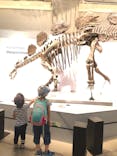 特別展「恐竜博2023」に投稿された画像（2023/5/18）