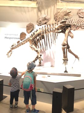 特別展「恐竜博2023」に投稿された画像（2023/5/18）