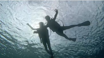 青の洞窟専門店　沖縄ダイビングショップ和に投稿された画像（2023/5/18）