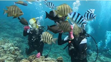 青の洞窟専門店　沖縄ダイビングショップ和に投稿された画像（2023/5/18）