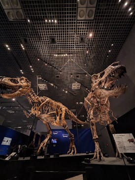 特別展「恐竜博2023」に投稿された画像（2023/5/19）