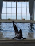 アクアワールド茨城県大洗水族館に投稿された画像（2023/5/19）