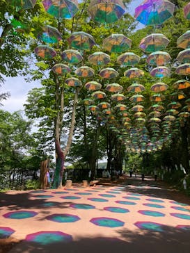 ムーミンバレーパークに投稿された画像（2023/5/19）